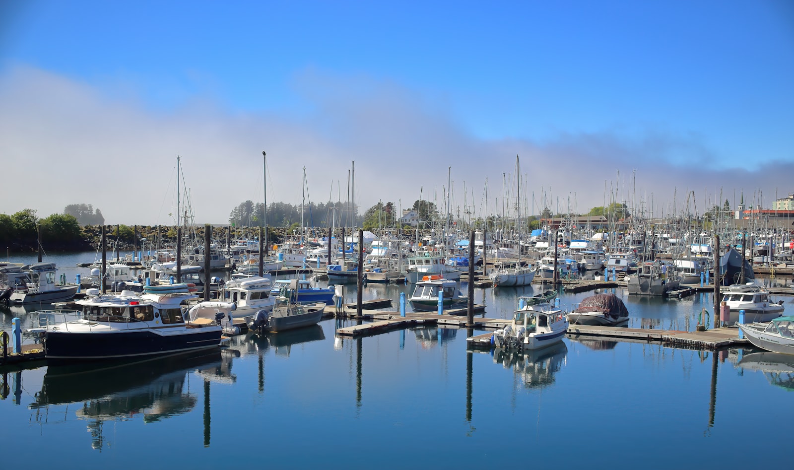 Working fishing harbour with small boats